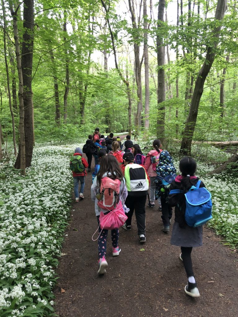 Grüngürtel-Waldschule im Stadtwald